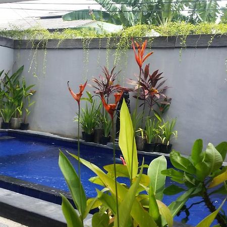 Star Bali Guest House Canggu Exterior foto